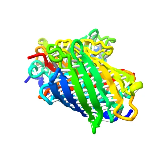STRUCTURE OF GREEN FLUORESCENT PROTEIN — Image 3 of 13