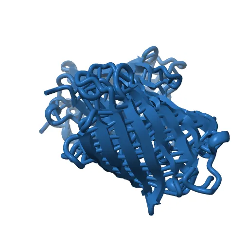 STRUCTURE OF GREEN FLUORESCENT PROTEIN — Image 4 of 13