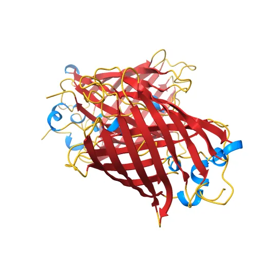 STRUCTURE OF GREEN FLUORESCENT PROTEIN — Image 5 of 13