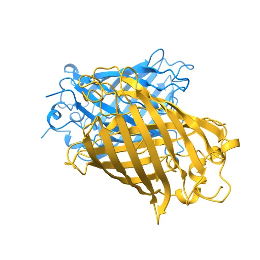 STRUCTURE OF GREEN FLUORESCENT PROTEIN — Image 6 of 13