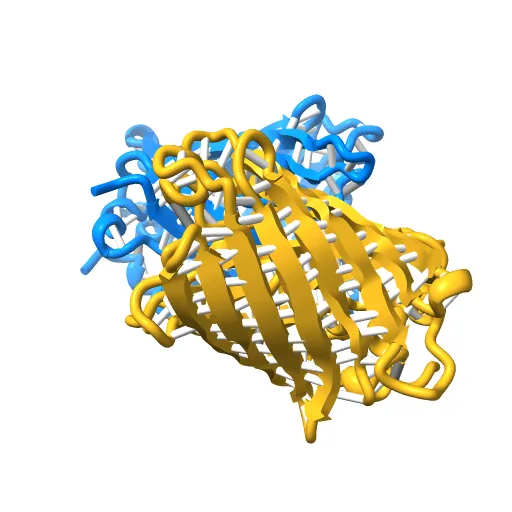 STRUCTURE OF GREEN FLUORESCENT PROTEIN — Image 7 of 13