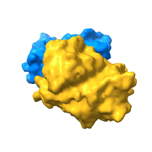 STRUCTURE OF GREEN FLUORESCENT PROTEIN — Image 8 of 13