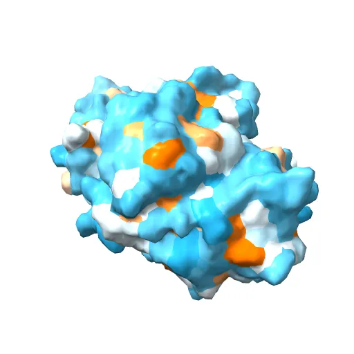 STRUCTURE OF GREEN FLUORESCENT PROTEIN — Image 9 of 13