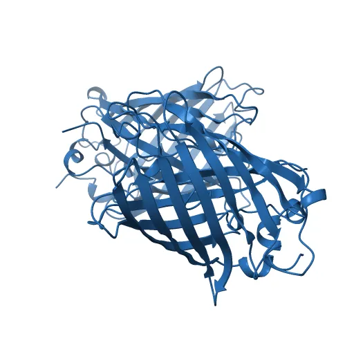 STRUCTURE OF GREEN FLUORESCENT PROTEIN — Image 11 of 13