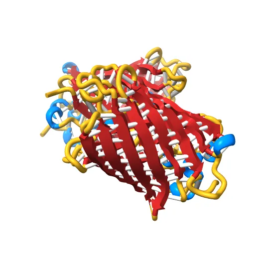 STRUCTURE OF GREEN FLUORESCENT PROTEIN — Image 12 of 13