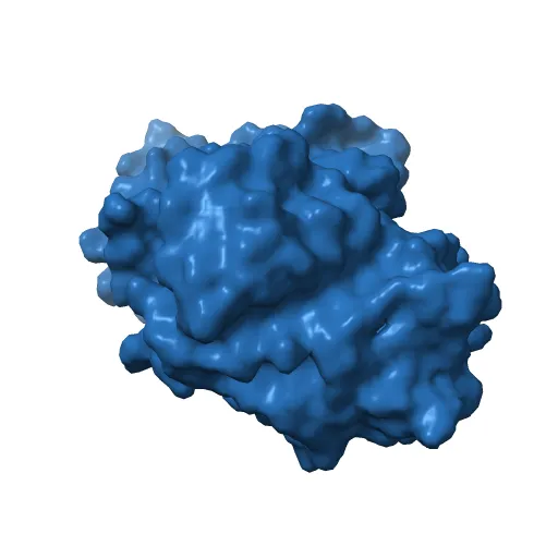 STRUCTURE OF GREEN FLUORESCENT PROTEIN — Image 13 of 13