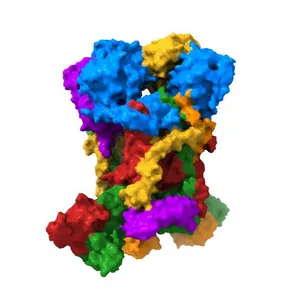 YEAST CYTOCHROME BC1 COMPLEX WITH BOUND SUBSTRATE CYTOCHROME C