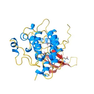 Crystal Structure of the Kinase domain of Human HER2 (erbB2).
