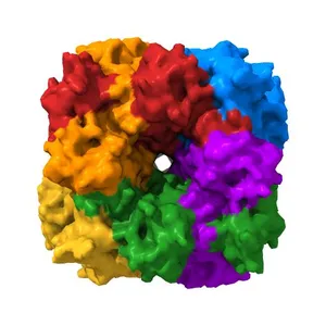 CRYSTAL STRUCTURE OF UNACTIVATED TOBACCO RUBISCO WITH BOUND PHOSPHATE IONS