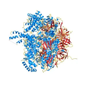 BOVINE MITOCHONDRIAL F1-ATPASE