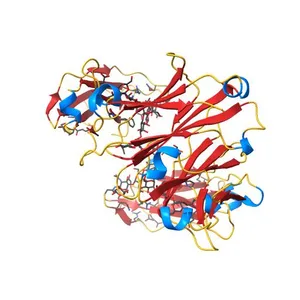 Crystal structure of human IgG4-Sigma1 Fc fragment