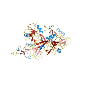 Crystal structure of P-selectin lectin/EGF domains
