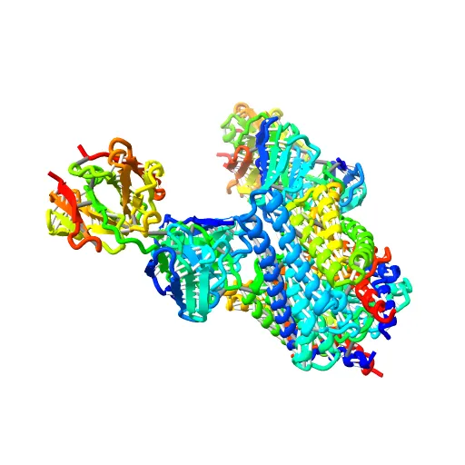 Structure of the Escherichia coli ClC Chloride channel and Fab Complex — Image 4 of 13