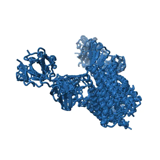 Structure of the Escherichia coli ClC Chloride channel and Fab Complex — Image 5 of 13