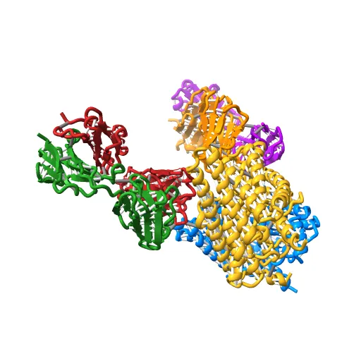 Structure of the Escherichia coli ClC Chloride channel and Fab Complex — Image 11 of 13