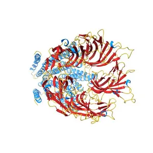 X-ray structure of the pentameric ligand gated ion channel of Gloebacter violaceus (GLIC) in a presumptive open conformation