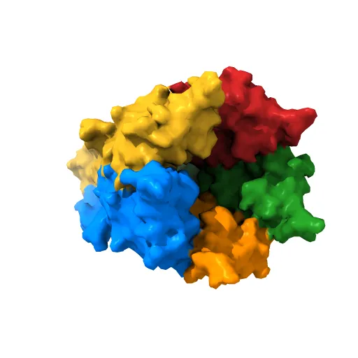 X-ray structure of the pentameric ligand gated ion channel of Gloebacter violaceus (GLIC) in a presumptive open conformation — Фото 2 из 13