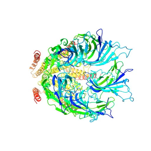 X-ray structure of the pentameric ligand gated ion channel of Gloebacter violaceus (GLIC) in a presumptive open conformation — Фото 3 из 13
