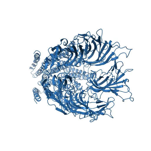 X-ray structure of the pentameric ligand gated ion channel of Gloebacter violaceus (GLIC) in a presumptive open conformation — Фото 4 из 13