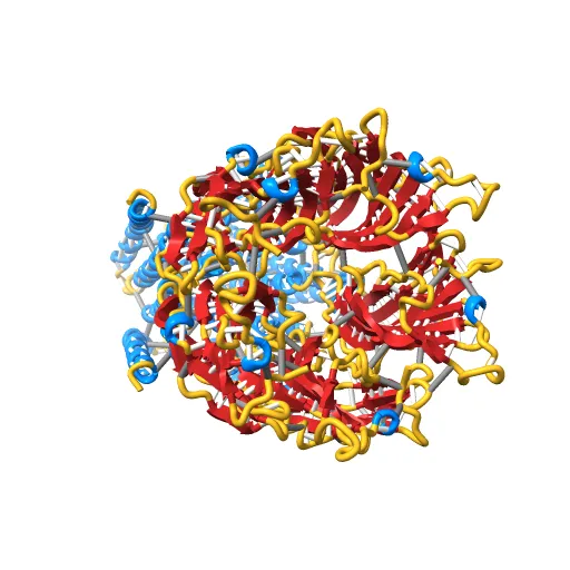X-ray structure of the pentameric ligand gated ion channel of Gloebacter violaceus (GLIC) in a presumptive open conformation — Фото 5 из 13