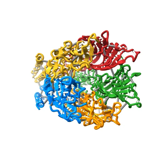 X-ray structure of the pentameric ligand gated ion channel of Gloebacter violaceus (GLIC) in a presumptive open conformation — Фото 6 из 13