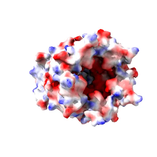 X-ray structure of the pentameric ligand gated ion channel of Gloebacter violaceus (GLIC) in a presumptive open conformation — Фото 8 из 13