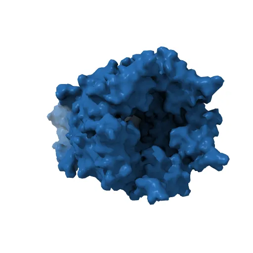 X-ray structure of the pentameric ligand gated ion channel of Gloebacter violaceus (GLIC) in a presumptive open conformation — Фото 9 из 13