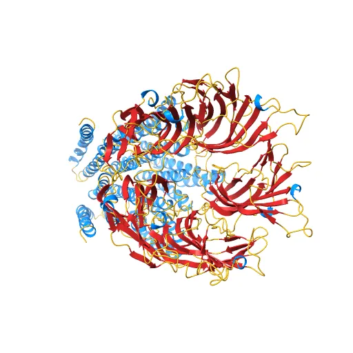 X-ray structure of the pentameric ligand gated ion channel of Gloebacter violaceus (GLIC) in a presumptive open conformation — Фото 10 из 13