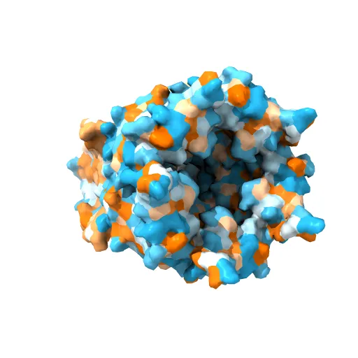 X-ray structure of the pentameric ligand gated ion channel of Gloebacter violaceus (GLIC) in a presumptive open conformation — Фото 11 из 13