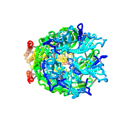 X-ray structure of the pentameric ligand gated ion channel of Gloebacter violaceus (GLIC) in a presumptive open conformation — Фото 12 из 13