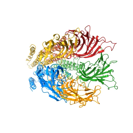 X-ray structure of the pentameric ligand gated ion channel of Gloebacter violaceus (GLIC) in a presumptive open conformation — Фото 13 из 13