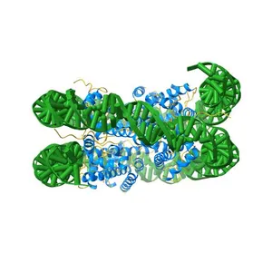 The human nucleosome structure containing the histone variant H3.3