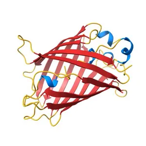 STRUCTURE OF YELLOW-EMISSION VARIANT OF GFP