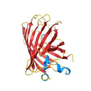 STRUCTURE OF YELLOW-EMISSION VARIANT OF GFP