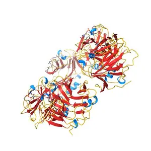 HUMAN C-REACTIVE PROTEIN COMPLEXED WITH PHOSPHOCHOLINE