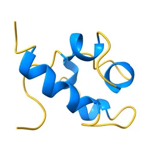 RAD51 (N-TERMINAL DOMAIN)