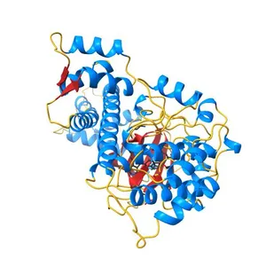 Calcium-Dependent Protein Kinase 1 from Toxoplasma gondii (TgCDPK1) in complex with inhibitor UW1553