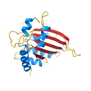 The Crystal Structure of the Anti-Viral APOBEC3G Catalytic Domain