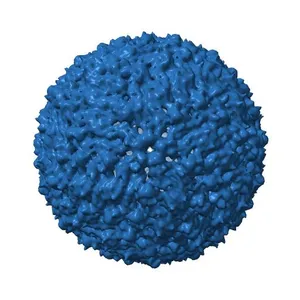 CryoEM structure of Dengue virus, full map