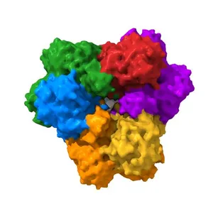 Crystal structure of TmPep1050 aminopeptidase with its metal cofactors