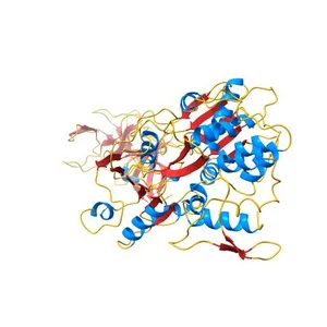 Crystal structure of the NS3 protease-helicase from Dengue virus