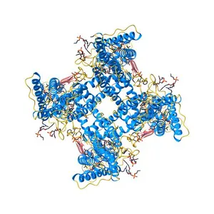 Structure of TRPV1 in complex with DkTx and RTX, determined in lipid nanodisc