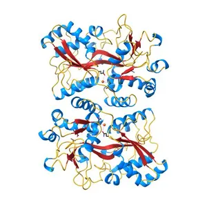 Structure of iron bound IbpS from Dickeya dadantii