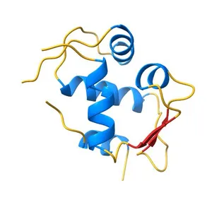 MDM2 BOUND TO THE TRANSACTIVATION DOMAIN OF P53