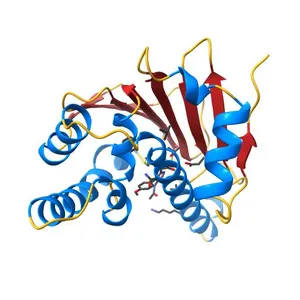 Crystal structure of Human Hsp90 with FS6