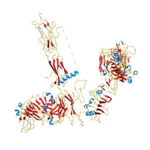 FAB 83-7 HEAVY CHAIN, FAB 83-7 LIGHT CHAIN, FAB 83-14 HEAVY CHAIN, FAB 83-14 LIGHT CHAIN, Insulin receptor (E.C.2.7.10.1)