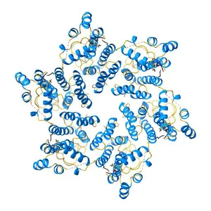 X-ray Structure of Hexameric HIV-1 CA