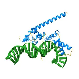 Oct4/Sox2:UTF1 structure