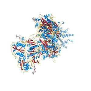 AMPA subtype ionotropic glutamate receptor in complex with competitive antagonist ZK 200775