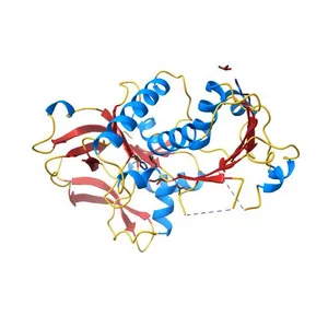 Crystal structure of alcohol dehydrogenase superfamily protein (NP_718042.1) from Shewanella oneidensis at 1.55 A resolution